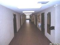 aut-0014-re.jpg
